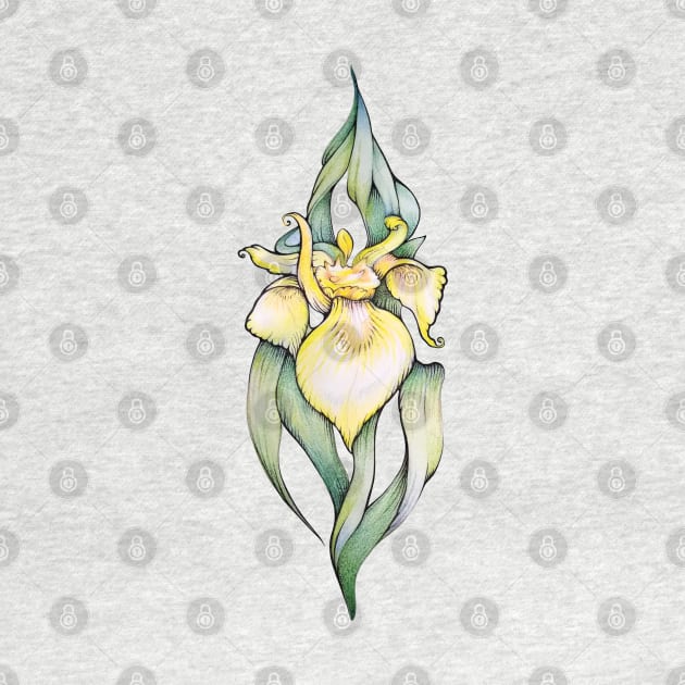Yellow Iris Flower by Yulla